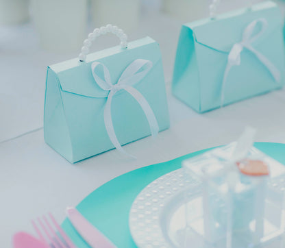 Tiffany & co Inspired Purse